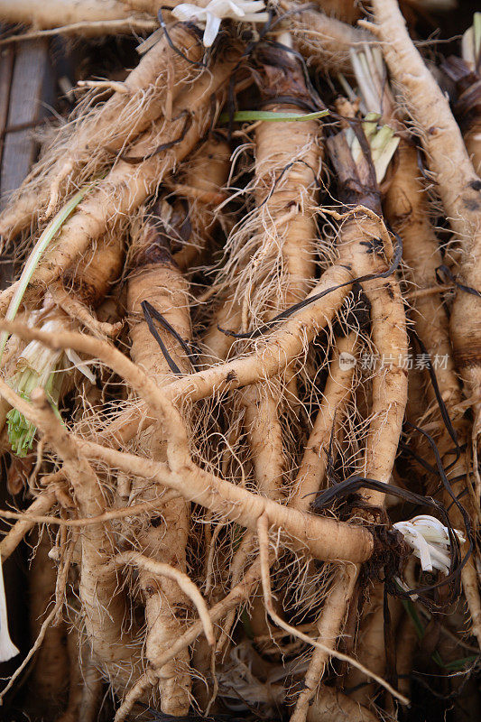 农贸市场:Salsify Roots